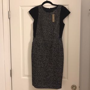 J Crew Dress